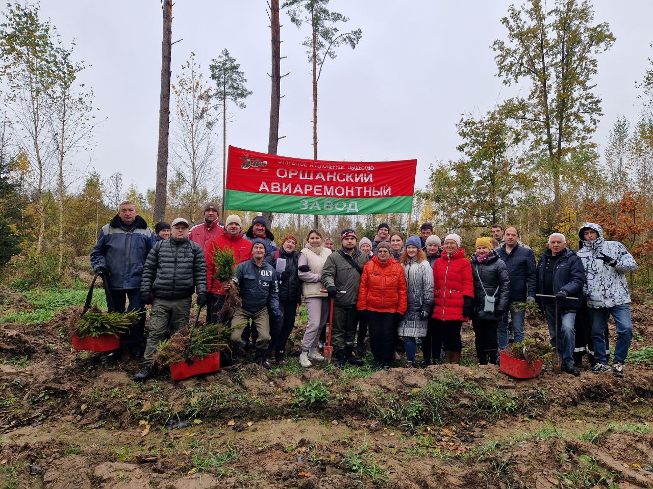 Дай лесу новае жыццё!
